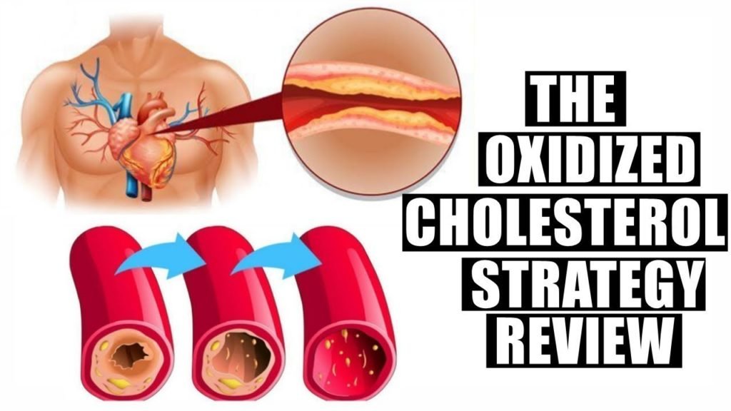 Oxidized Cholesterol Strategy Review: Is It the Key to Lowering Your Cholesterol?